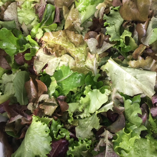 Micro greens (Units) [archived]